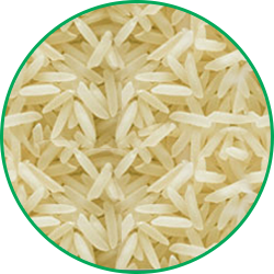 Non-Basmati Rice 386